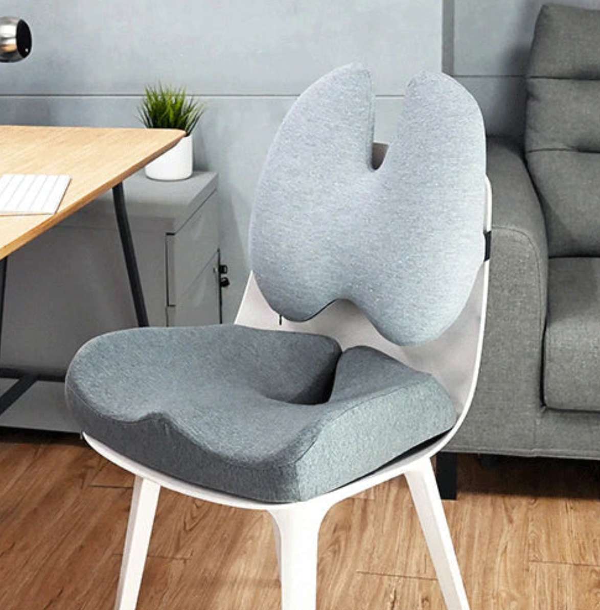 FastrFitness™ Posture Cushion Set